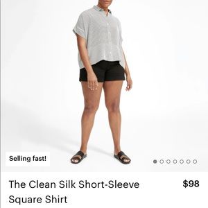 Everlane Clean 100% Silk Shirt